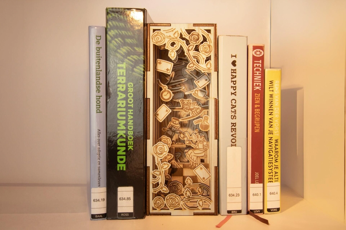 Laser Design: Maak je eigen book nook